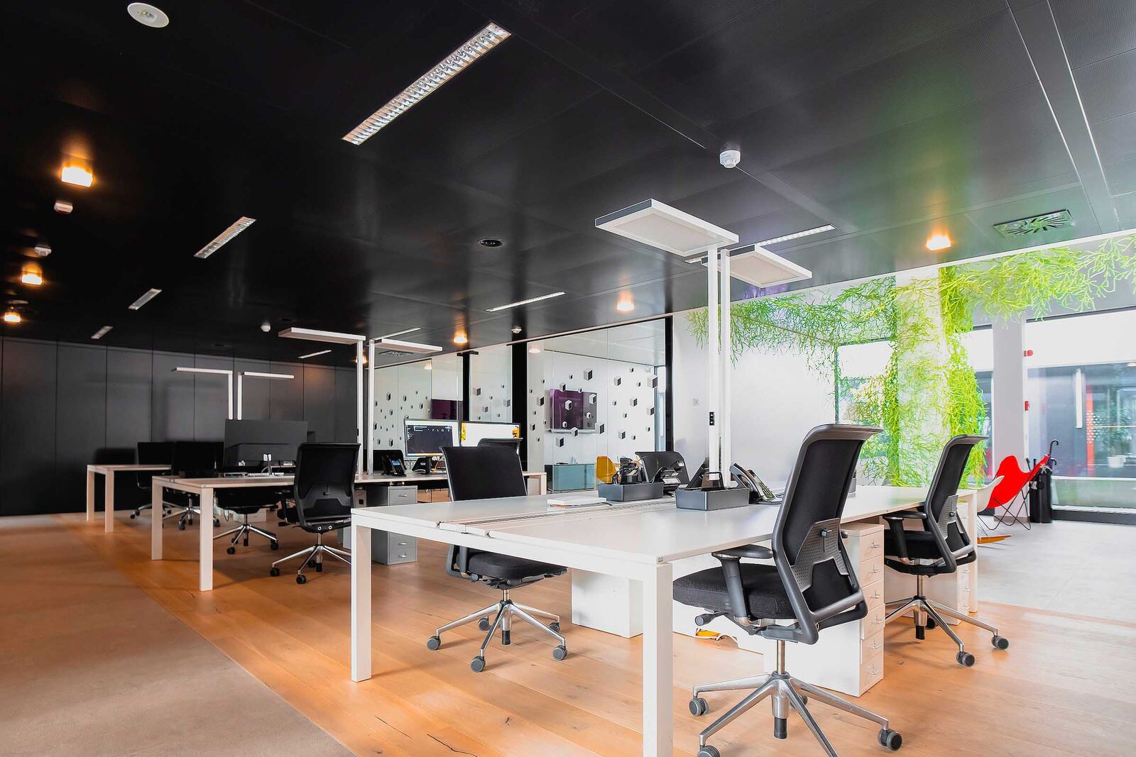 Open space aménagé et meublé des bureaux de Belval